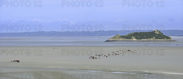 Tourists walking on the beach at low tide in front of the Tombelaine islet at Mont Saint-Michel,