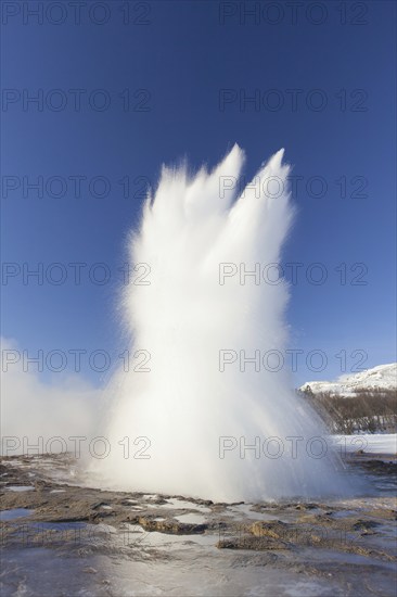 Eruption of Strokkur, fountain geyser in the geothermal area beside the Hvítá River in winter,