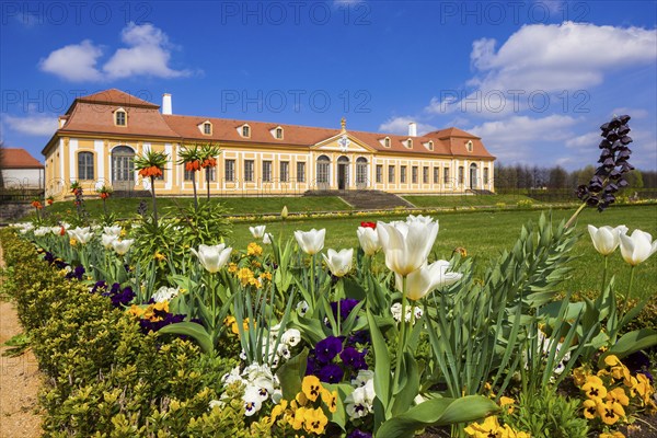 Grossedlitz Baroque Park, Upper Orangery