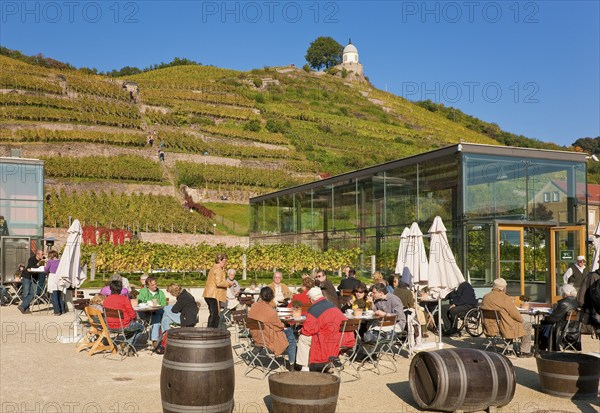 Schloss Wackerbarth or Wackerbarths Ruh' is a baroque castle surrounded by vineyards in the
