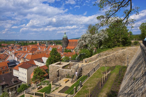 Pirna View of the old town from the Sonnenstein