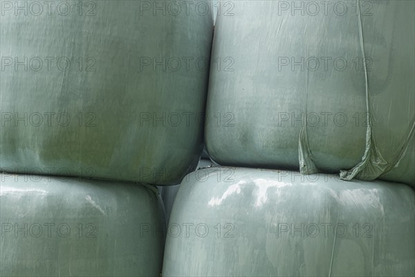 Silage, silage bales, silage bales in green plastic foil, Münsterland, North Rhine-Westphalia,
