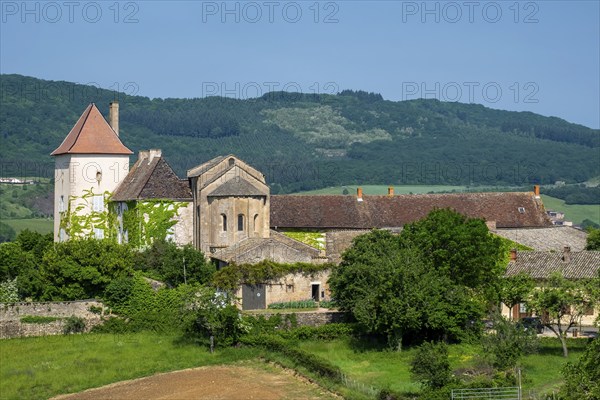 Le château des Moines, castle and chapel, chapel of the monks, chapel of a former Cluniac priory,