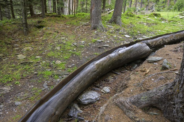 Wooden channel of the Kandelwaal, Martell, South Tyrol, Italy, Europe