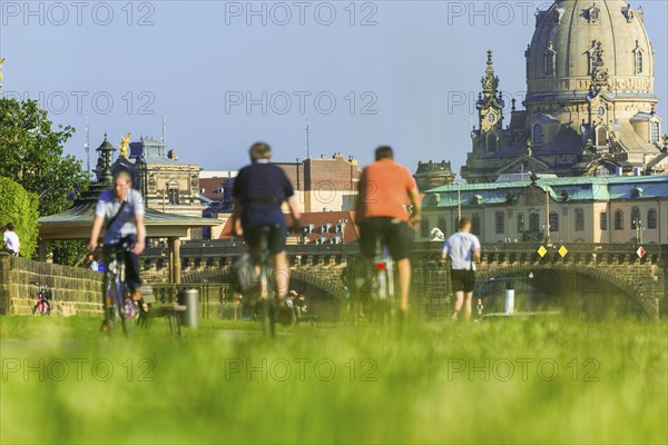 Elbe Cycle Route in Dresden