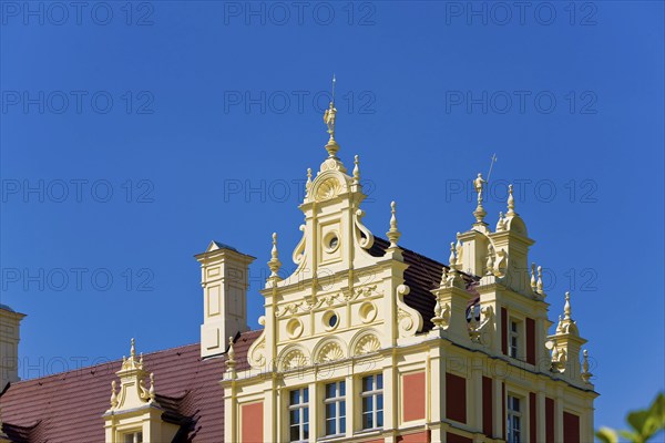 Prince Pückler Park Bad Muskau