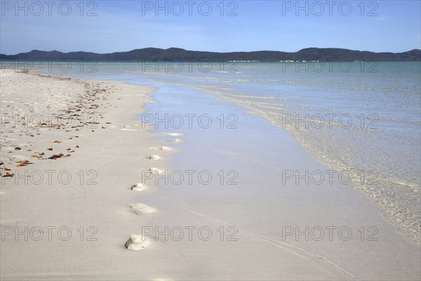 White sandy shoreline of Whitehaven Beach on Whitsunday Island in the Coral Sea, Queensland,