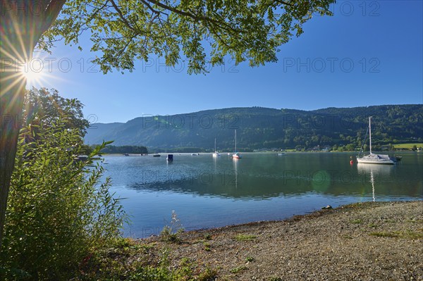 Lake shore, sailboats, tree, sun, morning, summer, Steindorf am Lake Ossiach, Lake Ossiach,