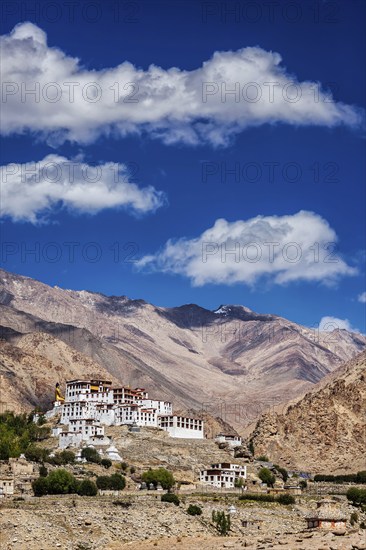 Likir Gompa Tibetan Buddhist monastery in Himalayas, Ladakh, Jammu and Kashmir, India, Asia