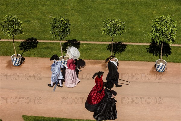 Return of the oranges from their winter quarters to the Dresden Zwinger