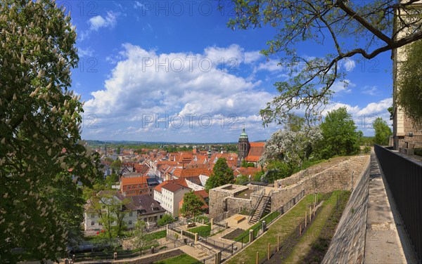 Pirna View of the old town from the Sonnenstein