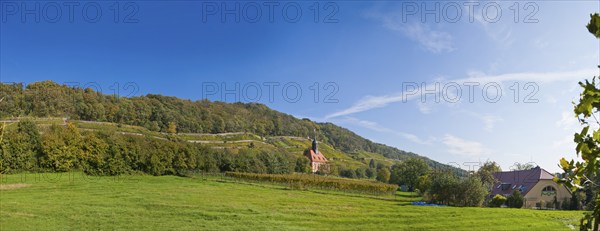 Vineyards and vineyard church in Pillnitz