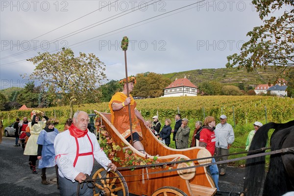 The Saxon Winegrowers' Procession 2011