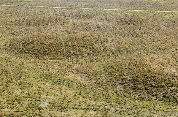 Overview of Anglo-Saxon royal burial ground, Sutton Hoo, Suffolk, England, UK
