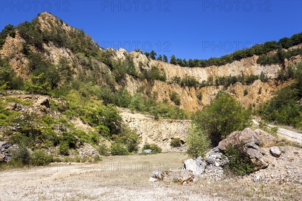 Disused Vatter porphyry quarry, Dossenheim, Baden-Württemberg, Germany, Europe