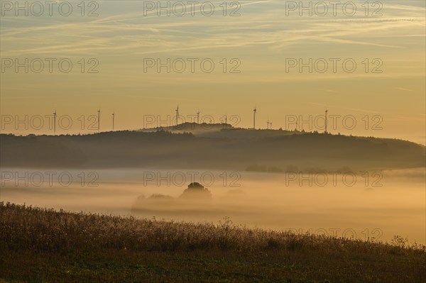 Landscape, fields, wind turbines, fog, sunrise, Höhefeld, Wertheim, Baden-Württemberg, Germany,
