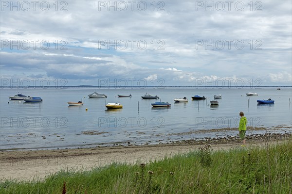 Boats, Baltic Sea, Habernis, Steinberg, Schleswig-Holstein, Germany, Europe