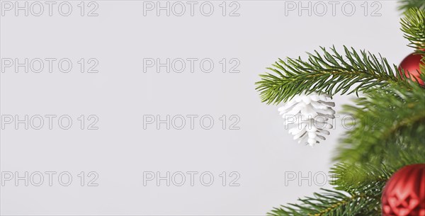 Christmas banner with white fir cone ornament on tree in front of gray background with copy space