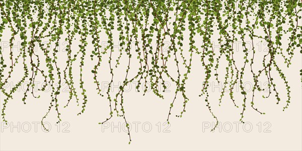 Green foliage wall vector illustration, climbing plant leaves seamless horizontal pattern