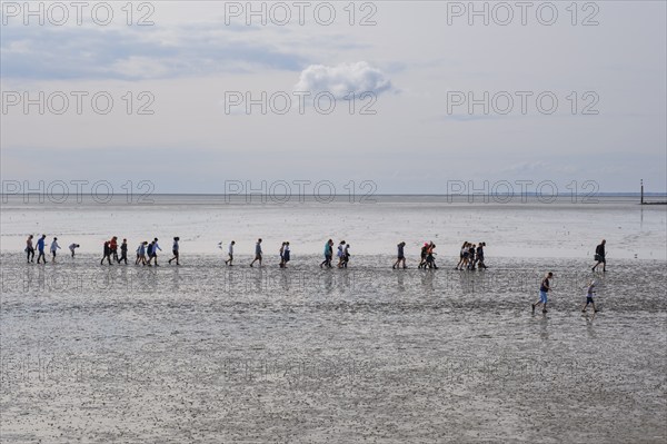 A group of pupils on a mudflat hike in the Wadden Sea National Park, low tide, Norddeich, Norden,