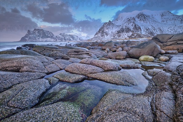 Rocks on beach of fjord of Norwegian sea in winteron sunset. Utakliev beach, Lofoten islands,