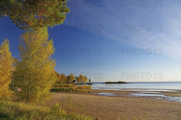 Autumn coloured trees on the shore of Lake Vänern, blue sky, October, Mellerud, Sweden, Europe