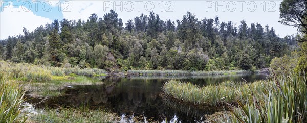Lake Matheson Trail, New Zealand, Oceania