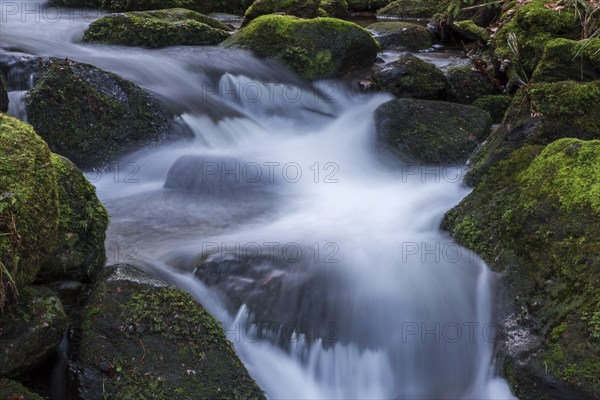 Gertelbach, Gertelbach Waterfalls, Gertelbach Falls, Gertelbach Gorge, Bühl, Bühlertal, Northern