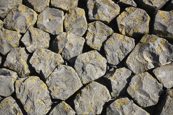 Stones on dike at Hoofdplaat in Zealand, Zeeland, Zeeuws-Vlaanderen, the Netherlands