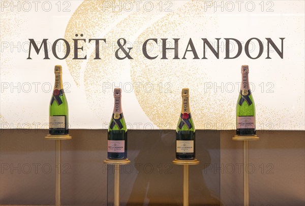 Moet & Chandon window display, champagne, logo, delicatessen, food, Stuttgart, Baden-Württemberg,