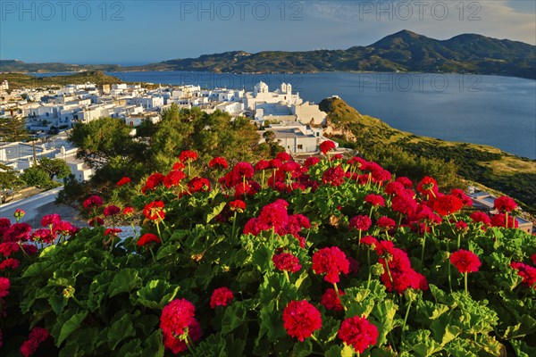 Red geranium flowers with Greek village Plaka in background on Milos island in Greece
