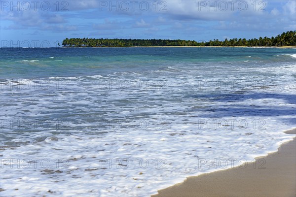 Foamy waves rolling onto a sunny, sandy beach with palm trees in the background, Limon beach, El