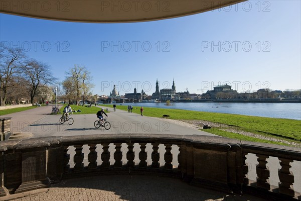 Dresden silhouette in spring. Numerous Japanese cherry trees blossom on the banks of the Neustädter
