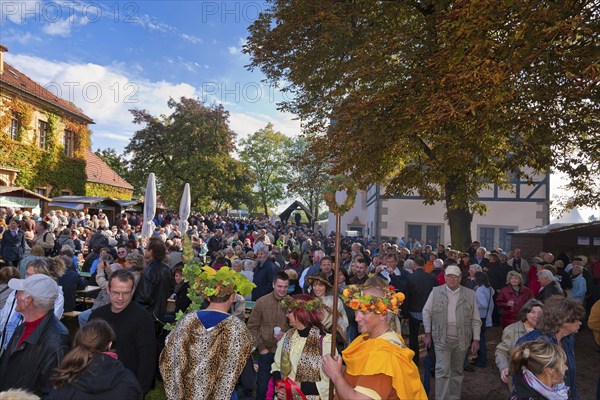 The Saxon Winegrowers' Procession 2012