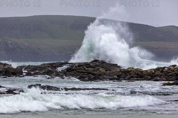 Waves, Curio Bay, Südland, Neuseeland