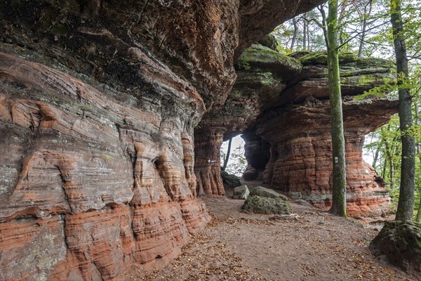 Old castle rock, red sandstone rock formation, natural and cultural monument, Brechenberg near