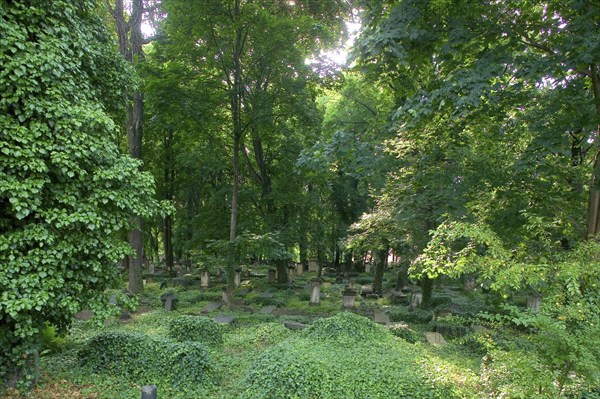 Eliasfriedhof, the oldest surviving cemetery, laid out in 1680 at the gates of the city, no longer