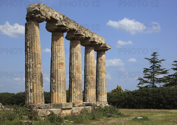 Metaponto, Metaponte, Doric hera temple, Tavole Palatine, Basilicata, Italy, Europe