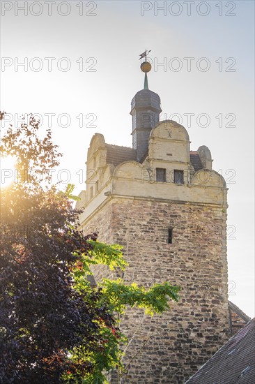 Stone castle tower in bright morning light with a weather vane and treetops in the foreground, Harz