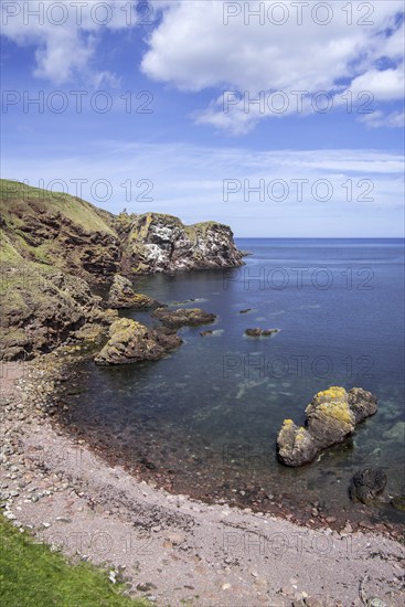 St Abb's Head, rocky promontory and seabird nature reserve near the village Saint Abbs,