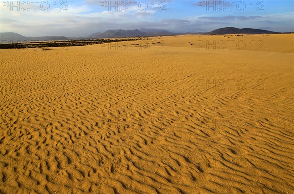 Sand dunes at Las Dunas natural park, Corralejo, Fuerteventura, Canary Islands, Spain, Europe