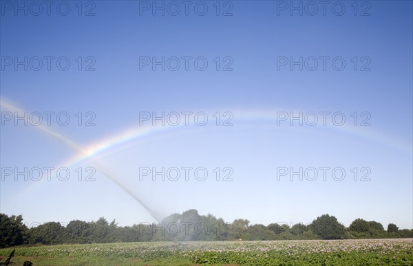 Rainbow created by crop irrigator spraying water on potatoes, Shottisham, Suffolk, England, United