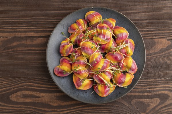 Rainbow colored dumplings with pepper, herbs, microgreen on brown wooden background. Top view, flat
