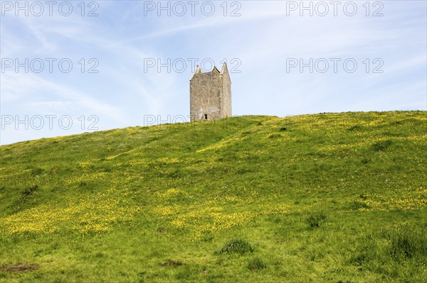 Dovecote ruin famous local landmark town of Bruton, Somerset, England, UK