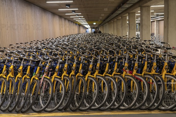 Bicycles at the OV-Fiets rental station, at Utrecht Central Station, hundreds of rental bikes