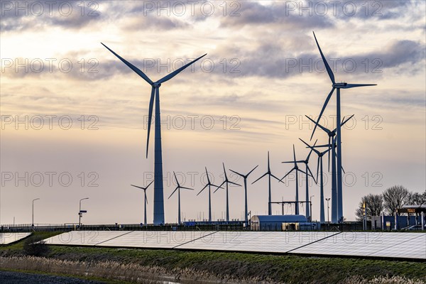 Solar park on the Slaperdijk dyke near the Eemshaven, test project, 17, 000 solar modules were