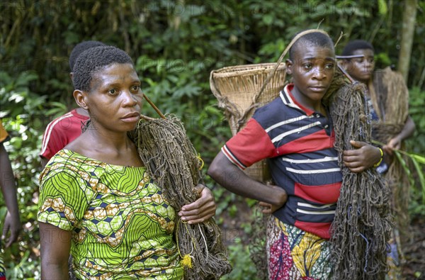Pygmy woman of the Baka or BaAka people with their hunting nets, Dzanga-Sangha Special Dense Forest