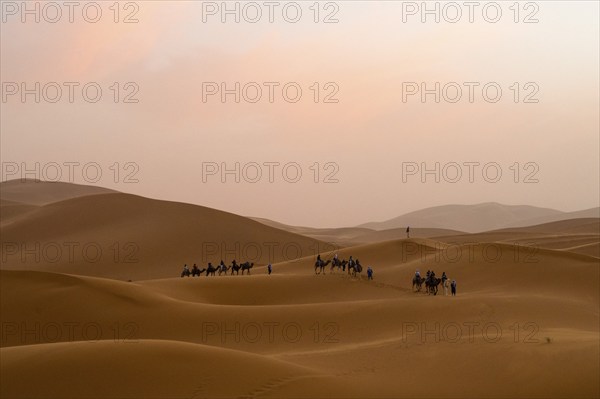 Sunset in the desert, camels and tourists, dunes, Erg Chebbi, Sahara, Merzouga, Morocco, Africa