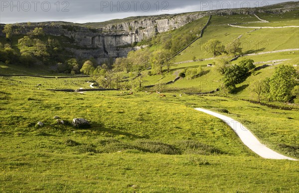 Malham Cove, Yorkshire Dales national park, England, UK
