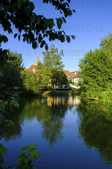 Town lake with St James' parish church, Pfullendorf, Linzgau, Baden-Württemberg, Germany, Europe